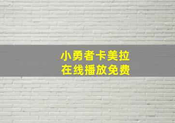 小勇者卡美拉 在线播放免费